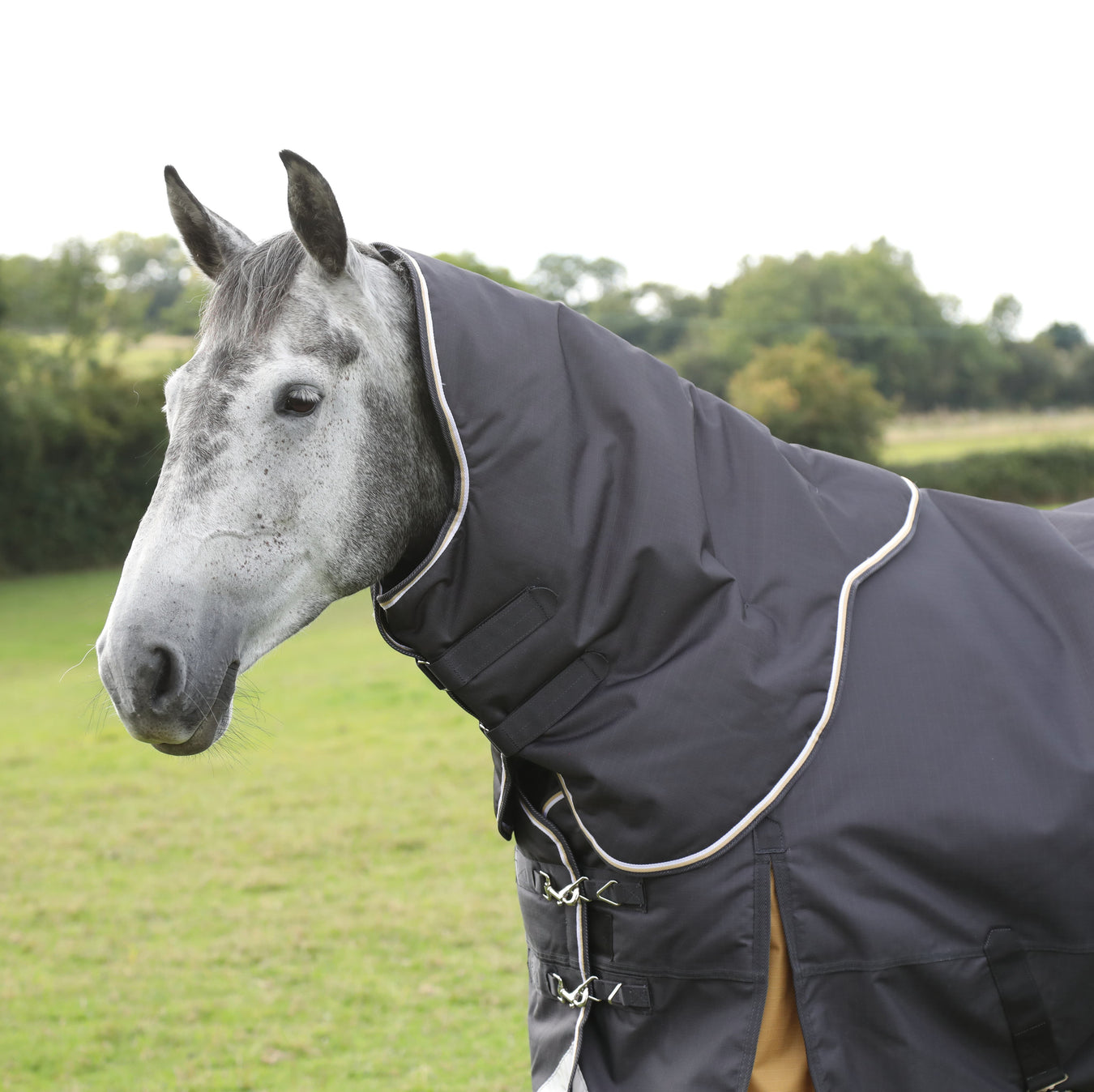 Shires Highlander Plus neck cover