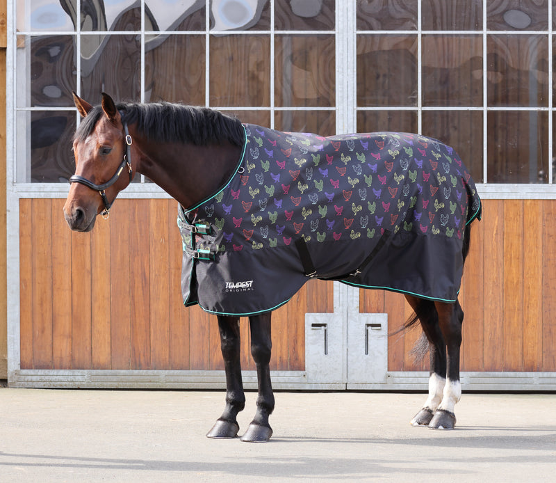 A horse wearing a multicolored geometric patterned turnout sheet, standing in front of stable doors.