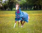 Shires Tempest Original Turnout Sheet (0g Lite) in TEAL - On Horse 