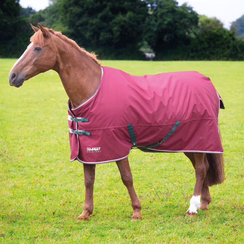 Shires Tempest Original Turnout Blanket (200g Medium) in Maroon