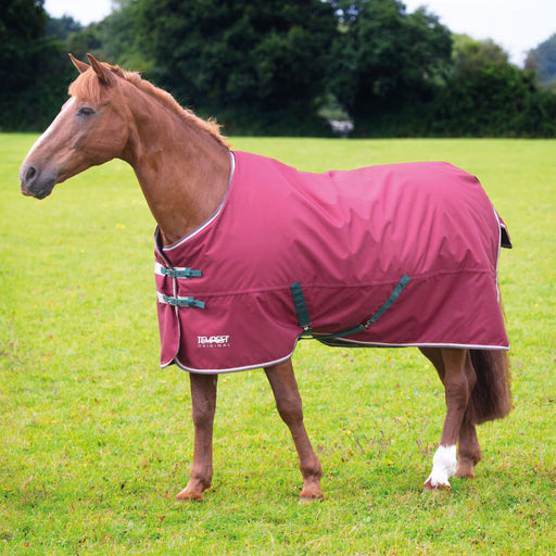 Shires Tempest Original Turnout Blanket (200g Medium) in Maroon