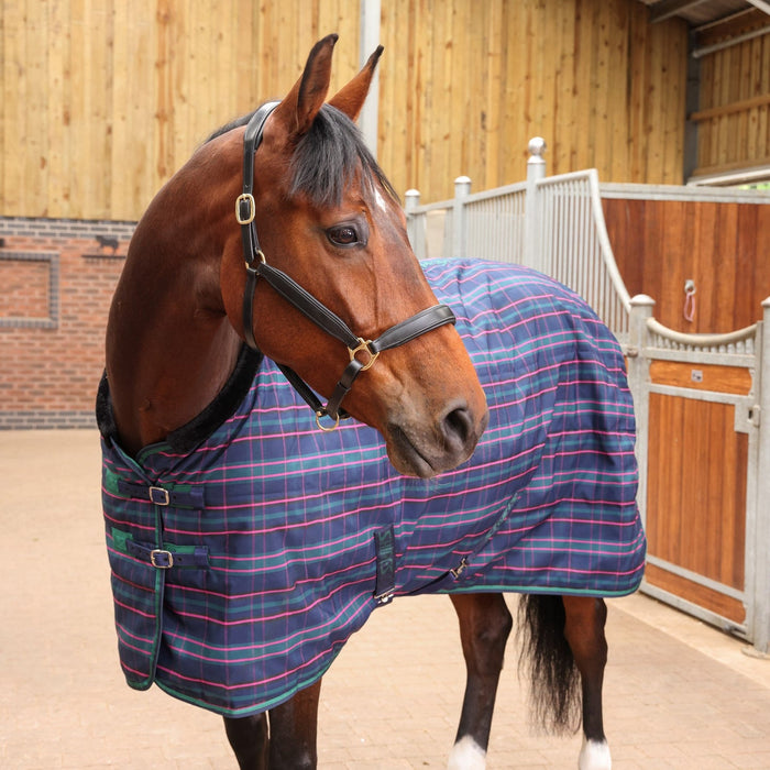 Shires Tempest Plus Stable Blanket (100g Medium-Lite)