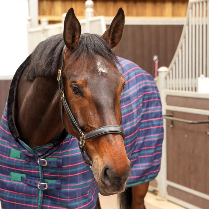 Shires Tempest Plus Stable Blanket (100g Medium-Lite)