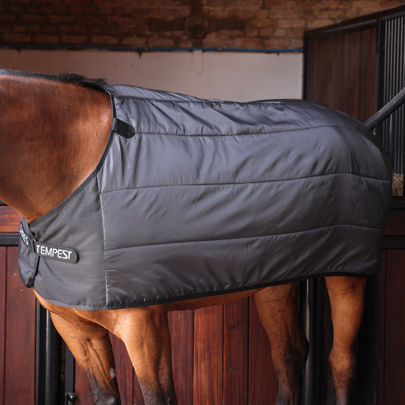 Shires Warma Rug Liner (200g Medium) in Black