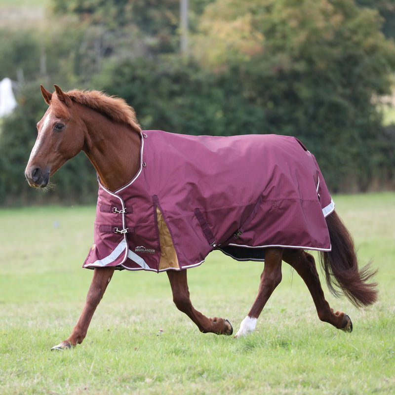 Shires Highlander Plus Standard Neck Turnout Blanket (100g Medium-Lite)