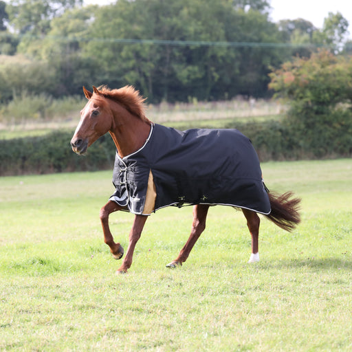 Shires Highlander Plus Standard Neck Turnout Blanket (200g Medium) in Black/Gold