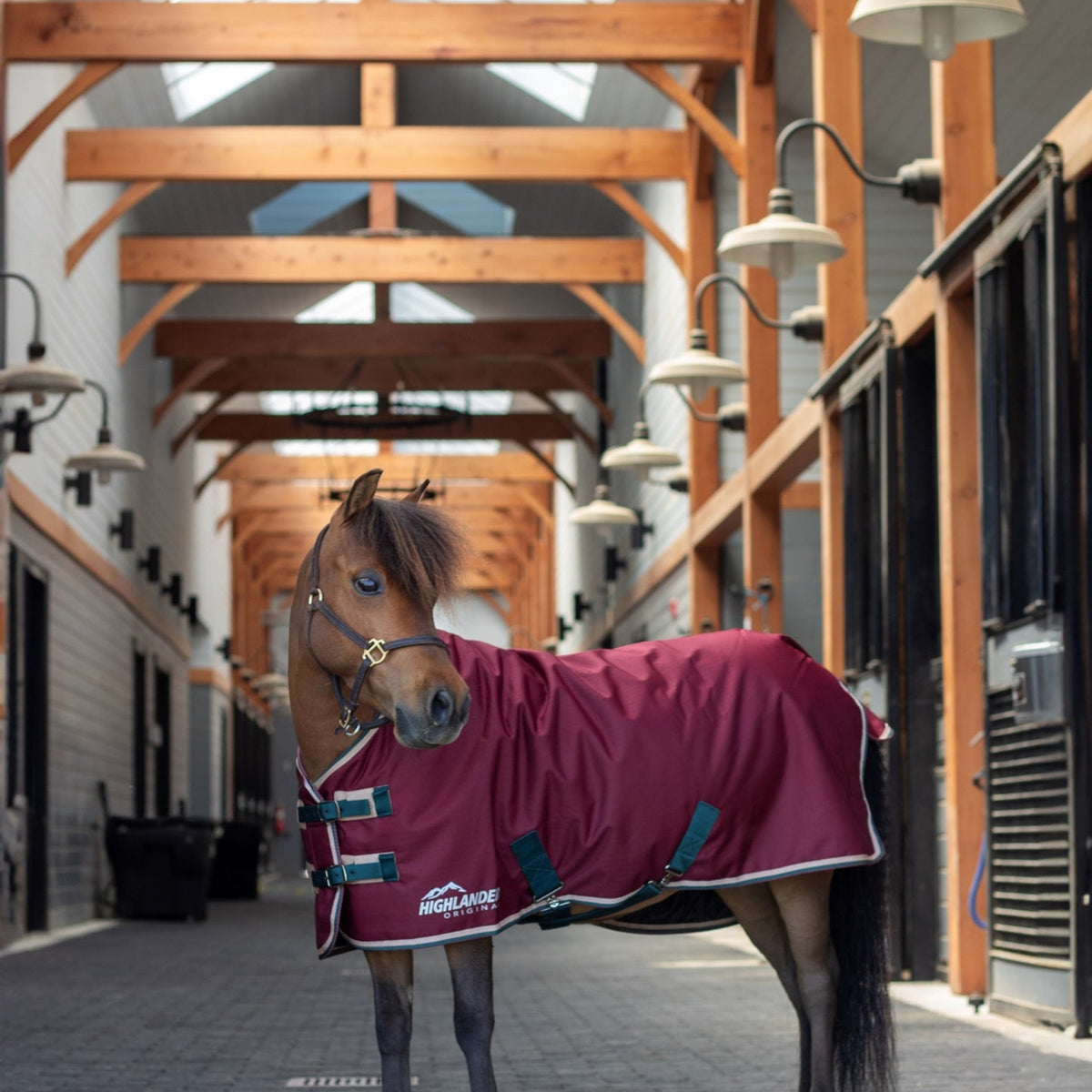 Shires Highlander Original Mini Turnout Blanket (200g Medium