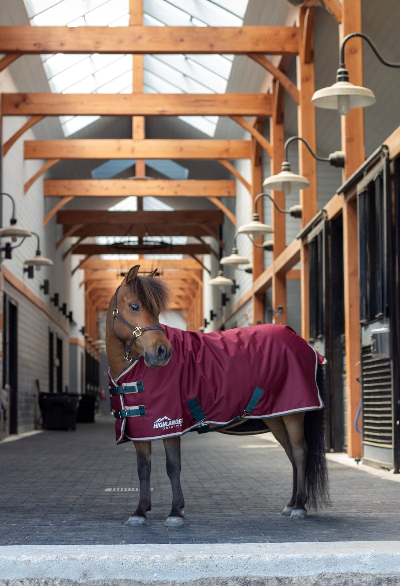 Shires Highlander Original Mini turnout blanket