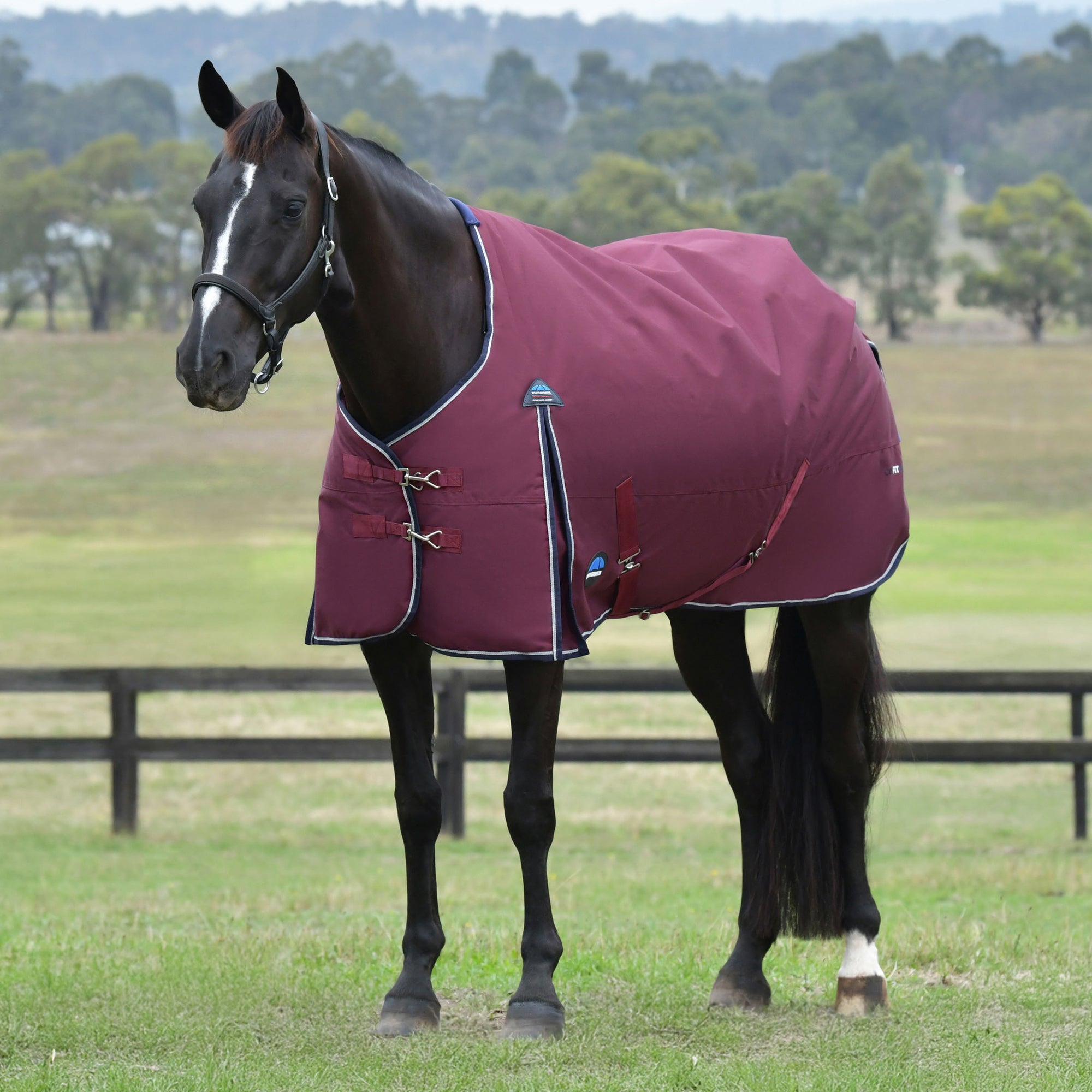 image_main - Burgundy/Navy -  - .jpg