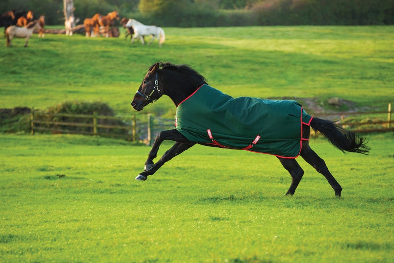 Rambo 1000D Turnout Sheet (0g Lite) in Green (Red Trim) - On horse running in field