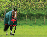 Rambo 1000D Turnout Sheet (0g Lite) in Green (Red Trim) - On horse trotting