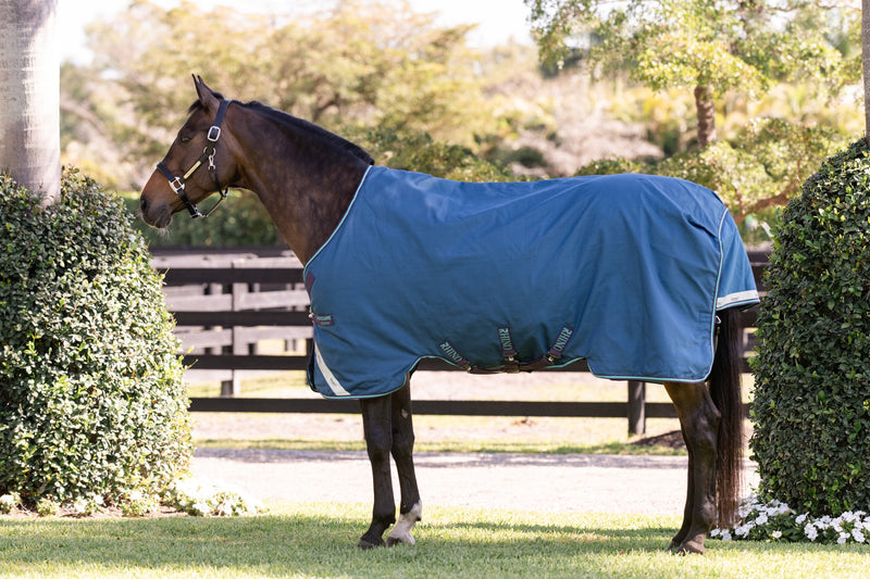 Rhino Turnout Blanket (100g Medium-Lite)