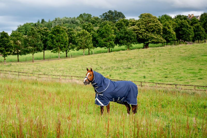 Rhino Plus Vari-Layer Turnout Blanket (450g Heavy, 250g Hood)