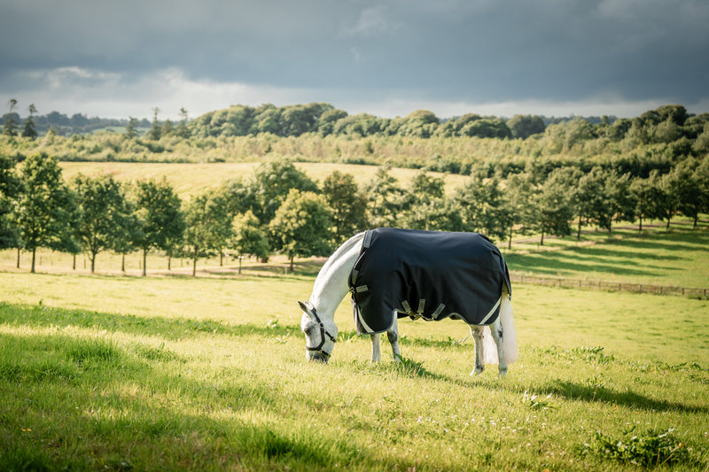 Rambo 1680D Turnout Blanket (50g Medium-Lite)