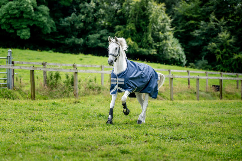 Amigo Bravo 12 Original Turnout Sheet (0g Light) Closeout