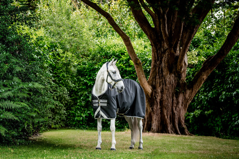 Amigo Bravo 12 Original Turnout Sheet (0g Light) Closeout