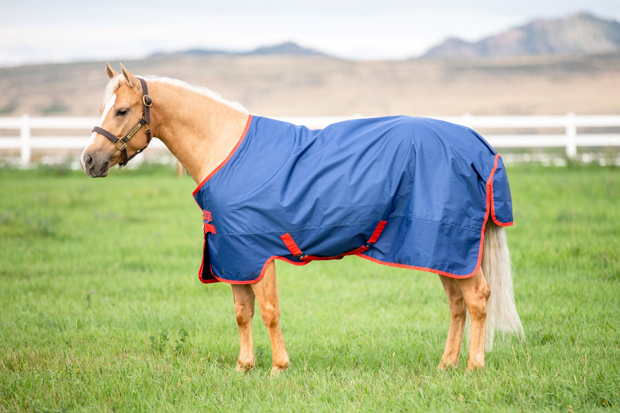 Turnout Sheets & Blankets — Performance Horse Blankets