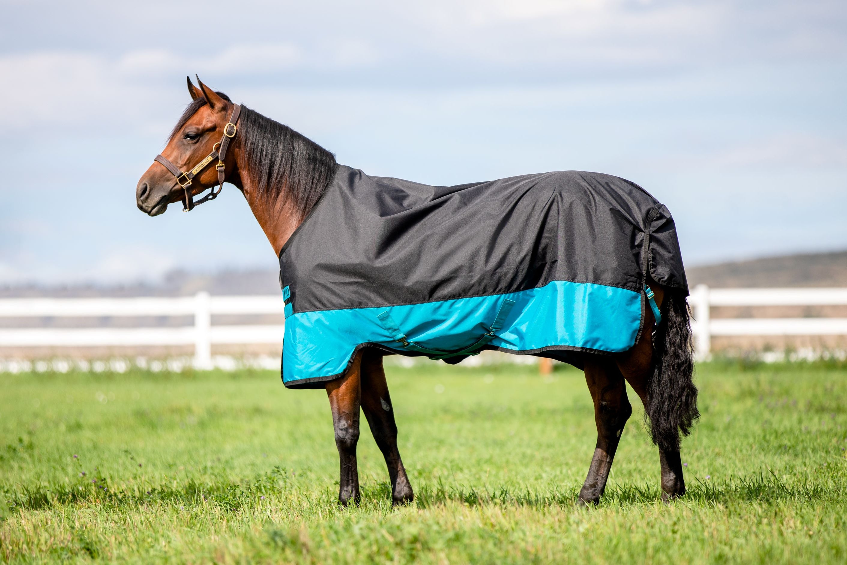 Euro Fit Bellyband Foal Turnout Blanket - Waterproof Winter Horse Blanket With 220g Fill, Navy