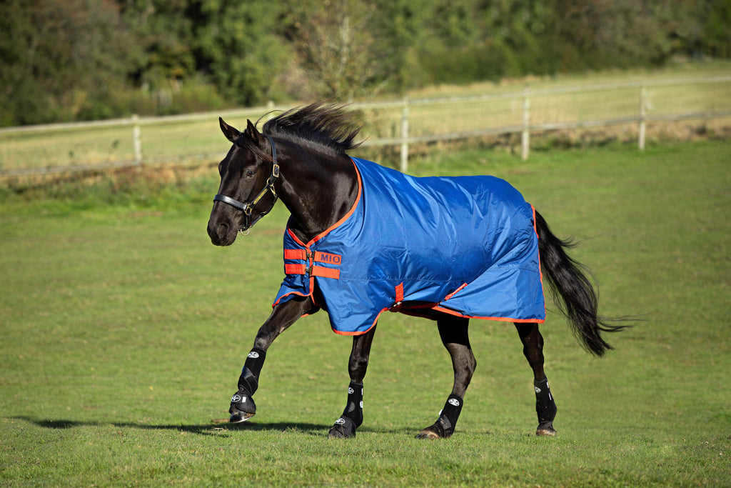 Turnout Sheets & Blankets — Performance Horse Blankets