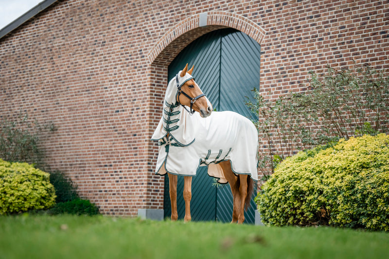 Rambo Hoody XL Summer Sheet (No Fill + Hood)