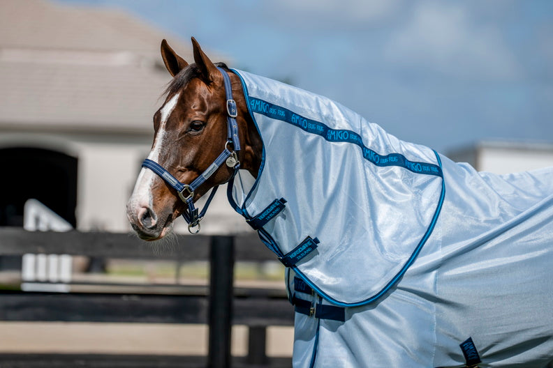 Amigo Bug Rug Plus Fly Sheet (No Fill + Hood)