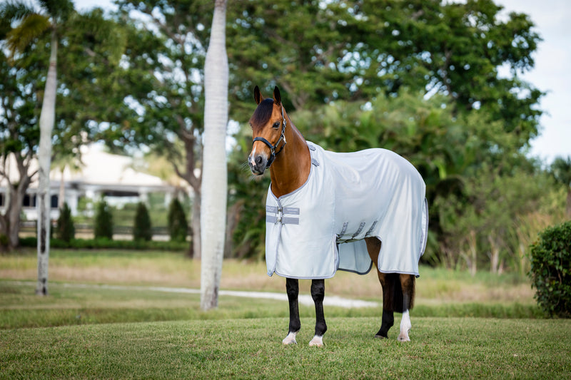 Amigo Bug Buster Fly Sheet (No Fill)