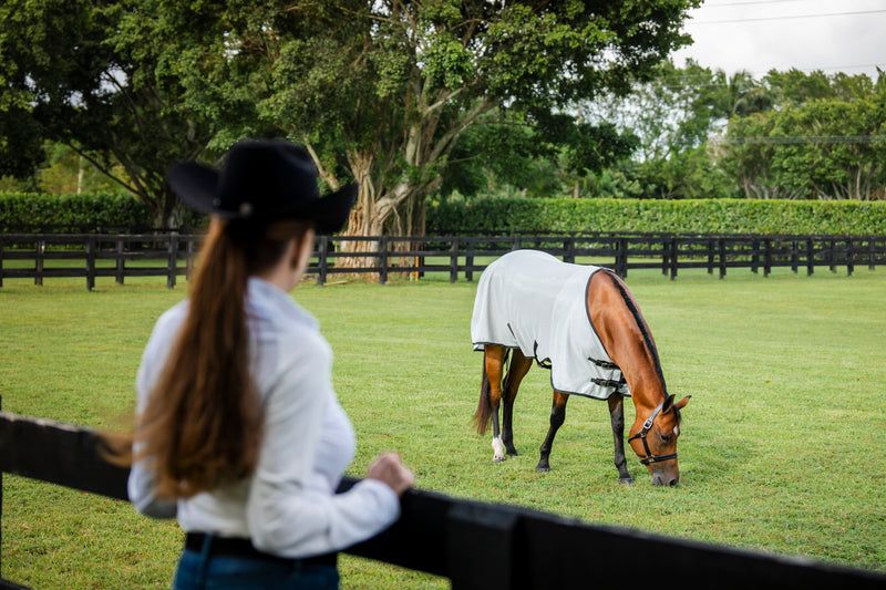 Amigo Bug Rug Quarter Horse Fly Sheet (No Fill)
