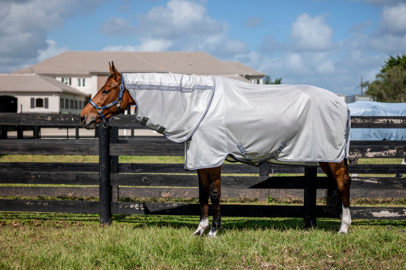 Amigo Bug Rug XL Plus Fly Sheet (No Fill + Hood)