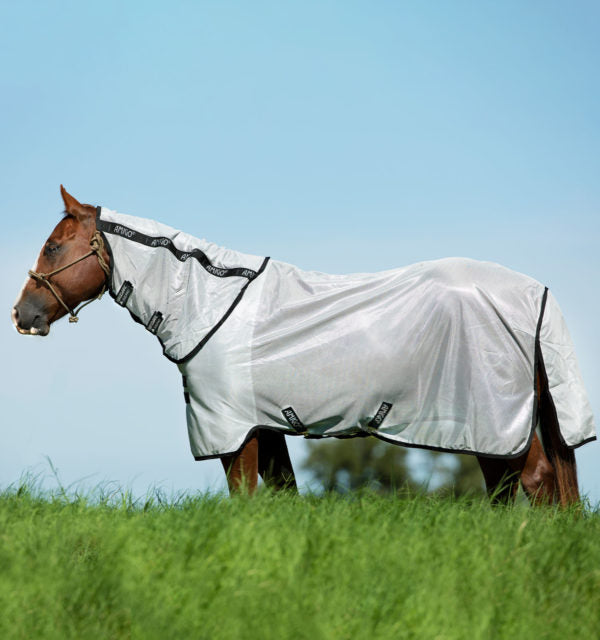 Amigo Stock Horse Fly Sheet (No Fill)