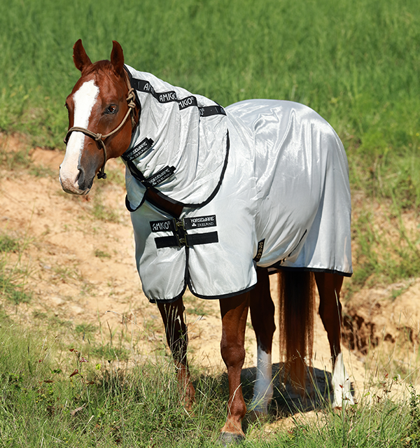 Amigo Stock Horse Fly Sheet (No Fill)