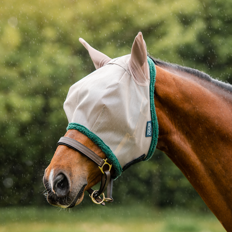 Amigo Fly Mask With Ears