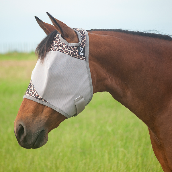 Cashel Crusader Designer Fly Mask (Standard Without Ears) in Leopard - Fly mask on horse