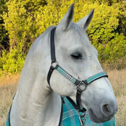 Reflective Nylon Halter with Textliene Kensington Protective Products