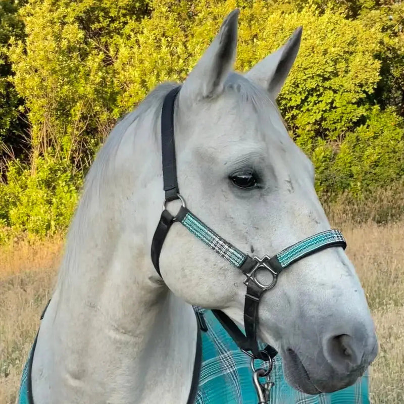 Reflective Nylon Halter with Textliene Kensington Protective Products