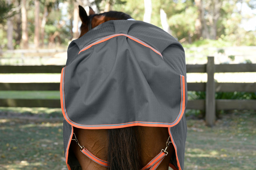 Besondere Funktion WeatherBeeta ComFiTec Essential Horse Turnout Plus Detach-A-Neck — Performance Medium Blankets