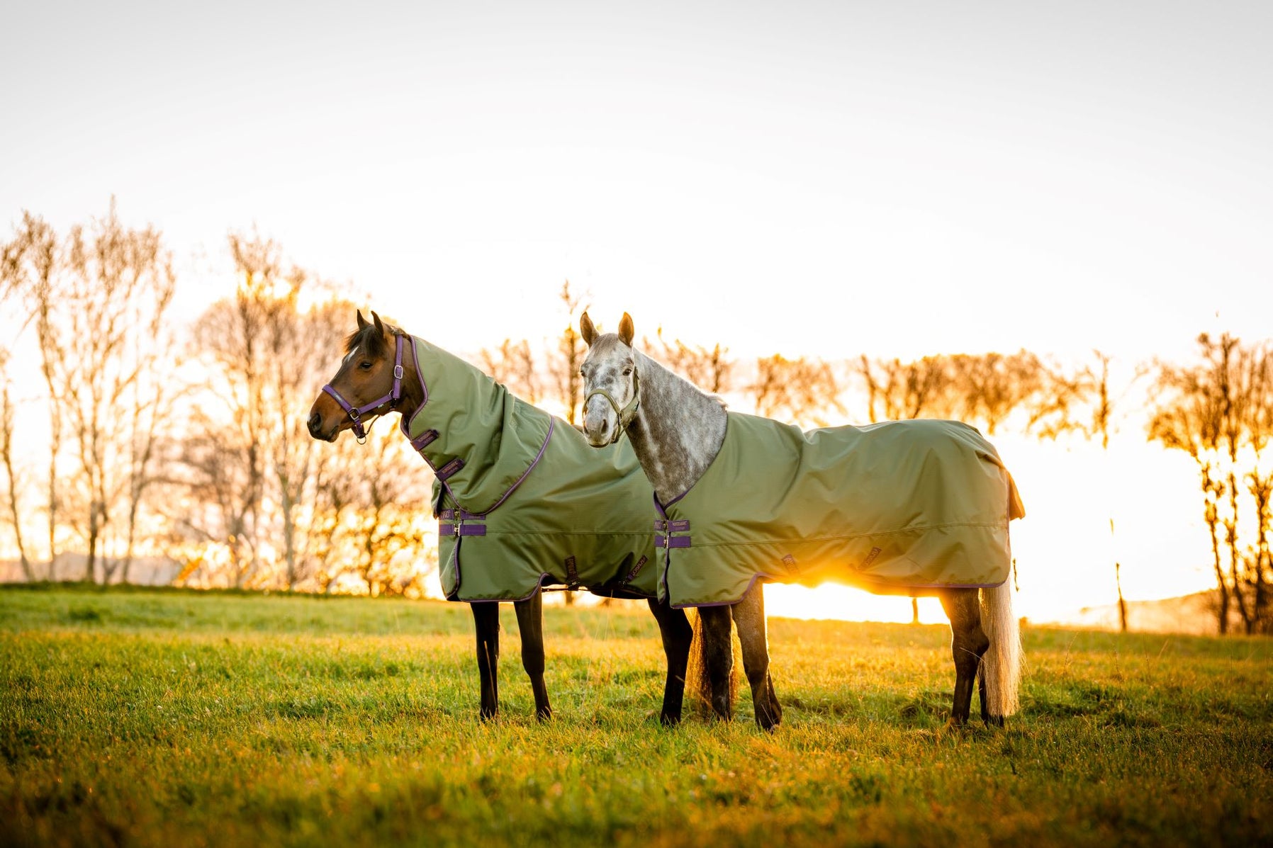 Turnout Sheets & Blankets — Page 5 — Performance Horse Blankets