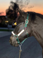 Reflective Nylon Halter with Textliene Kensington Protective Products