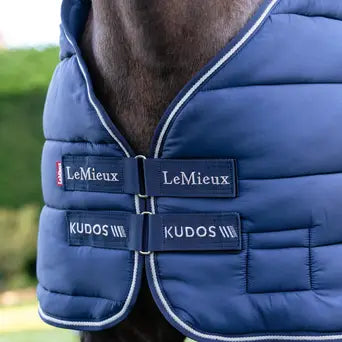 LeMieux Kudos Rug Liner (50g)