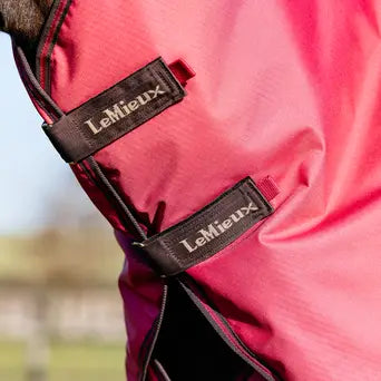 LeMieux Arika Ripstop Turnout Blanket (200g Medium)