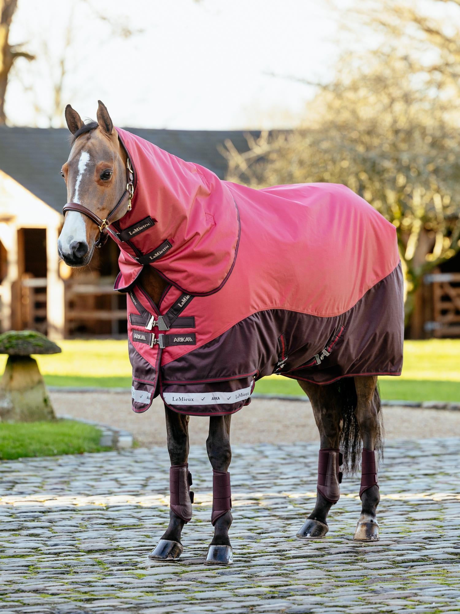 LeMieux Arika Ripstop Turnout Blanket (100g Medium Lite