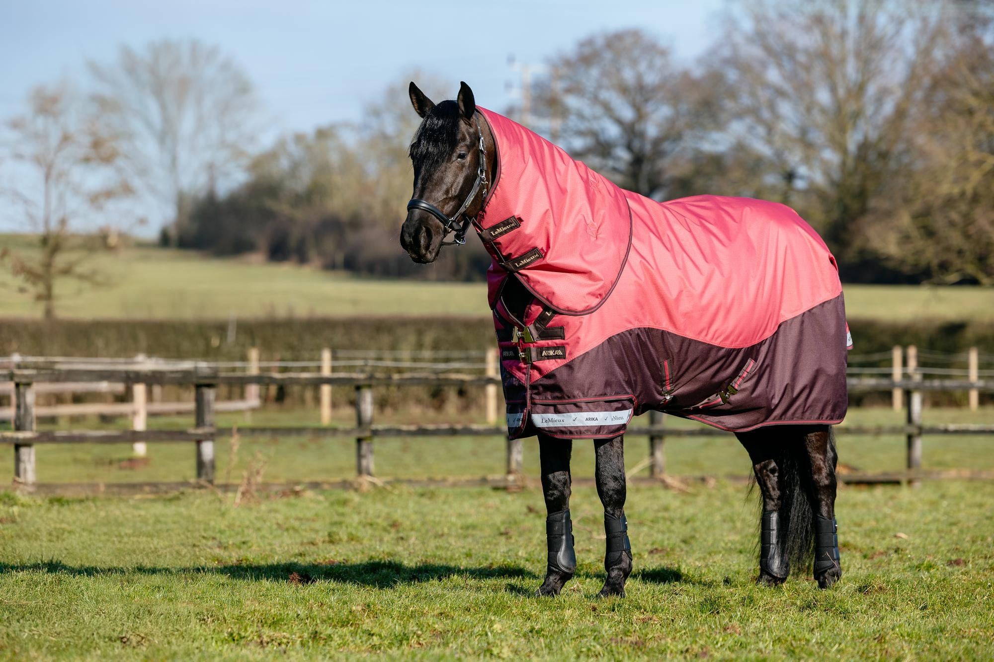 LeMieux Arika Ripstop Turnout Blanket (0g Lite) — Performance