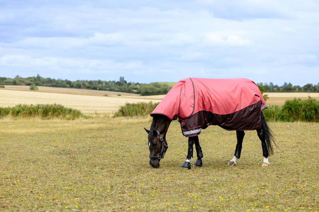 LeMieux Arika Ripstop Turnout Blanket (0g Lite)