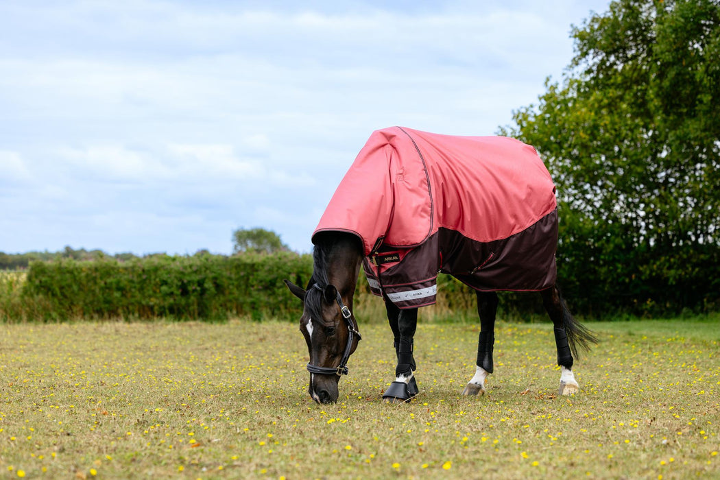 LeMieux Arika Ripstop Turnout Blanket (0g Lite)