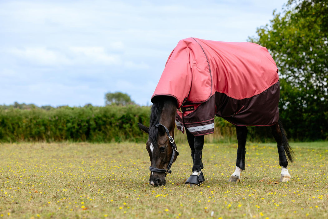 LeMieux Arika Ripstop Turnout Blanket (0g Lite)