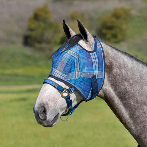 Kensington Fly Mask with Web Trim