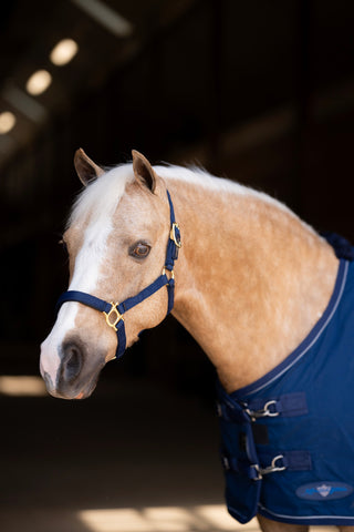 Kensington Standard Nylon Halter with Padded Nose