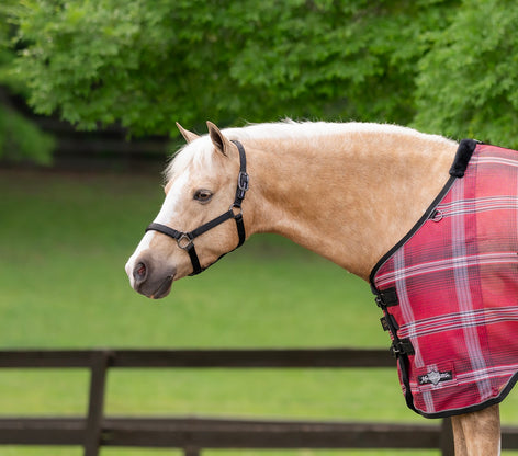 Kensington Standard Nylon Halter with Padded Nose
