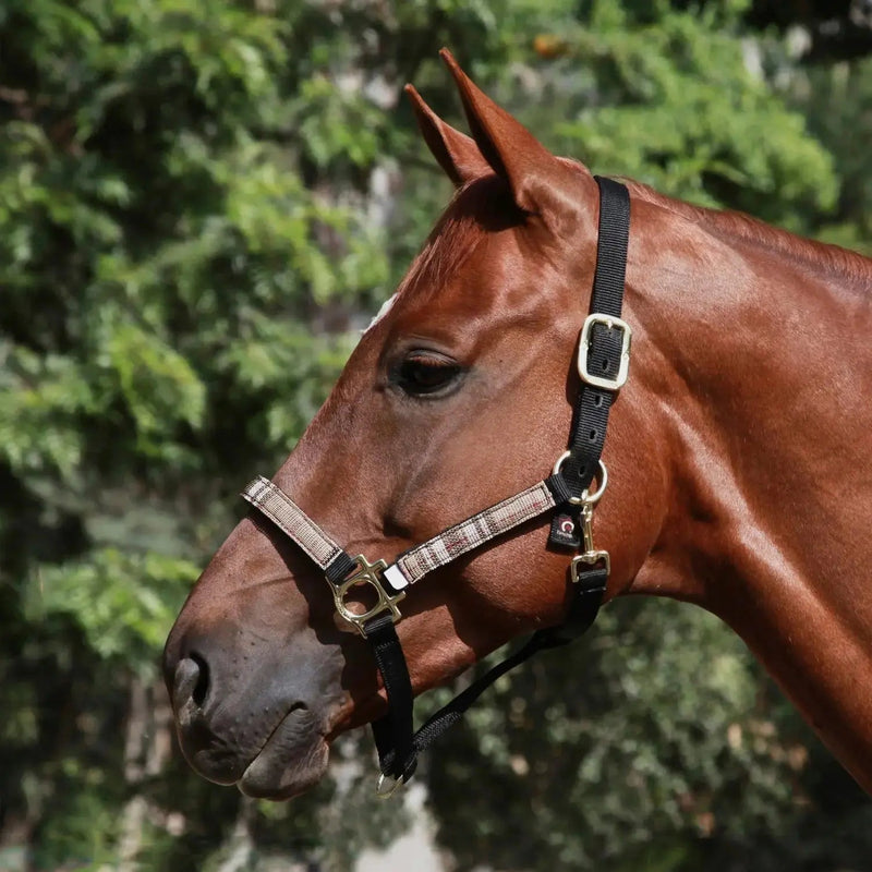 Reflective Nylon Halter with Textliene Kensington Protective Products