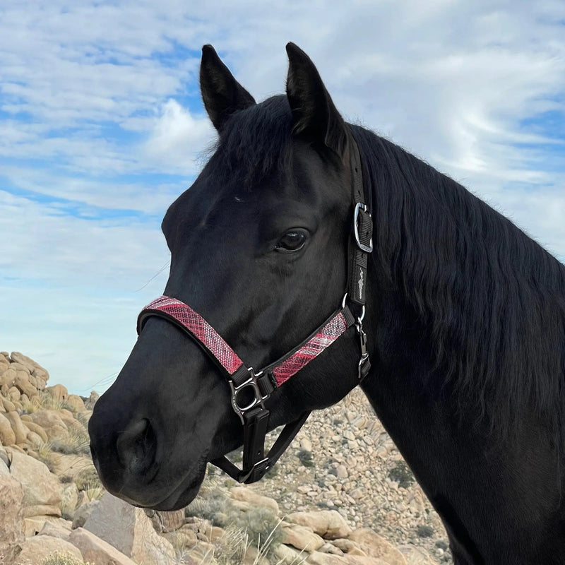 Reflective Nylon Halter with Textliene Kensington Protective Products
