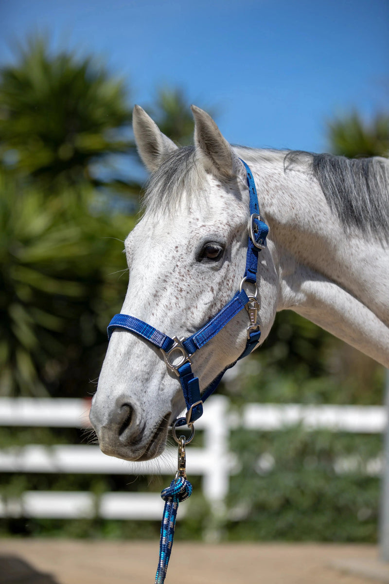 Reflective Nylon Halter with Textliene Kensington Protective Products